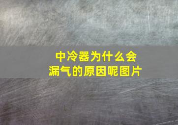 中冷器为什么会漏气的原因呢图片