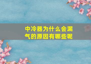 中冷器为什么会漏气的原因有哪些呢