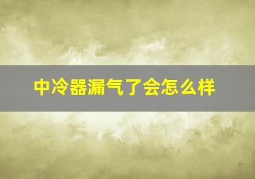 中冷器漏气了会怎么样