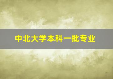 中北大学本科一批专业