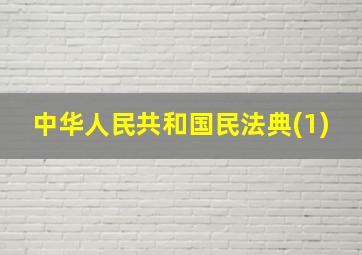 中华人民共和国民法典(1)