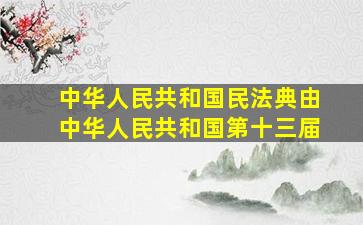 中华人民共和国民法典由中华人民共和国第十三届