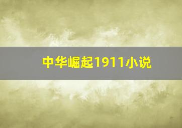 中华崛起1911小说