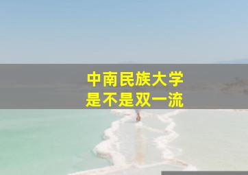 中南民族大学是不是双一流