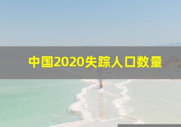 中国2020失踪人口数量