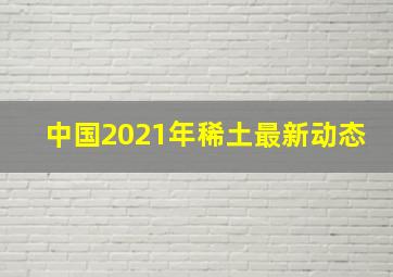 中国2021年稀土最新动态