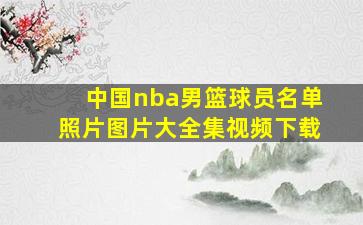 中国nba男篮球员名单照片图片大全集视频下载