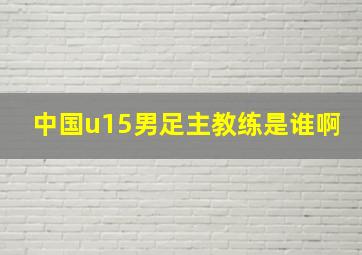 中国u15男足主教练是谁啊