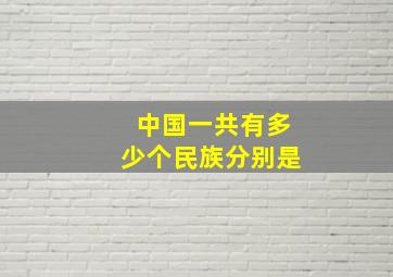 中国一共有多少个民族分别是