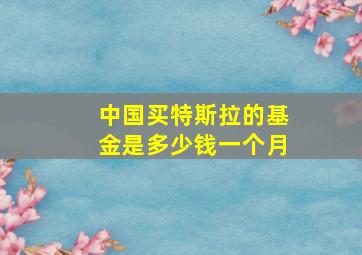 中国买特斯拉的基金是多少钱一个月