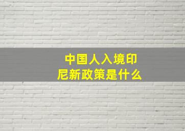 中国人入境印尼新政策是什么