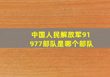 中国人民解放军91977部队是哪个部队