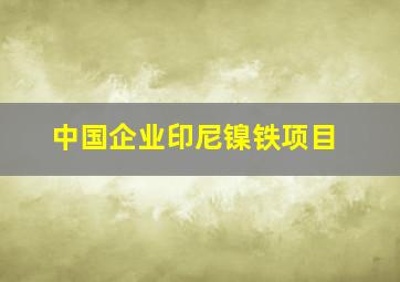 中国企业印尼镍铁项目