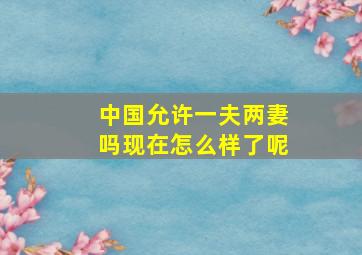 中国允许一夫两妻吗现在怎么样了呢