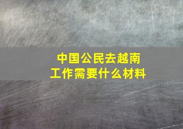 中国公民去越南工作需要什么材料