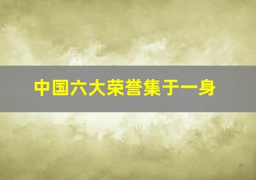 中国六大荣誉集于一身