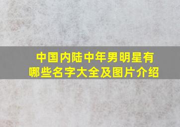 中国内陆中年男明星有哪些名字大全及图片介绍