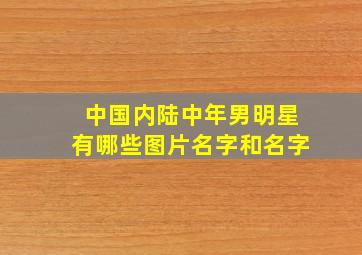 中国内陆中年男明星有哪些图片名字和名字