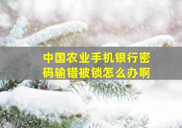 中国农业手机银行密码输错被锁怎么办啊