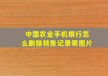 中国农业手机银行怎么删除转账记录呢图片