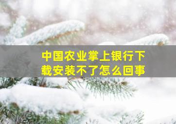 中国农业掌上银行下载安装不了怎么回事