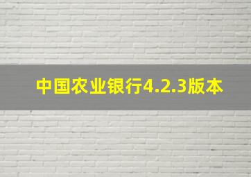 中国农业银行4.2.3版本