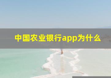 中国农业银行app为什么