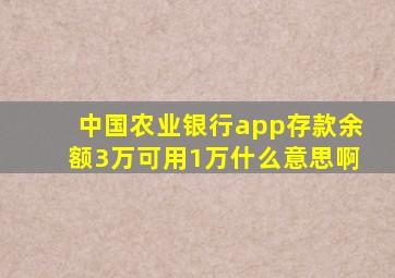 中国农业银行app存款余额3万可用1万什么意思啊