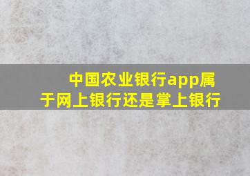 中国农业银行app属于网上银行还是掌上银行