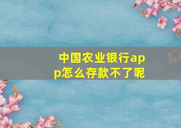 中国农业银行app怎么存款不了呢