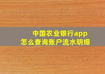 中国农业银行app怎么查询账户流水明细