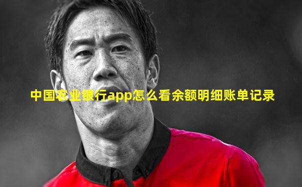 中国农业银行app怎么看余额明细账单记录