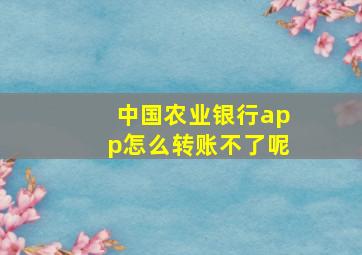 中国农业银行app怎么转账不了呢