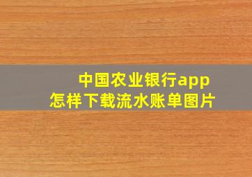 中国农业银行app怎样下载流水账单图片