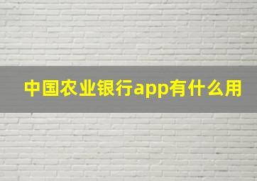 中国农业银行app有什么用