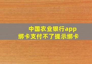 中国农业银行app绑卡支付不了提示绑卡