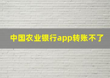 中国农业银行app转账不了