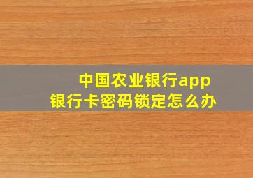 中国农业银行app银行卡密码锁定怎么办