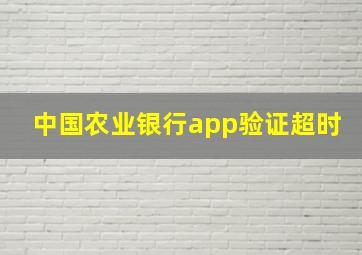 中国农业银行app验证超时