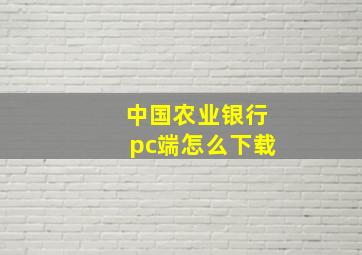 中国农业银行pc端怎么下载