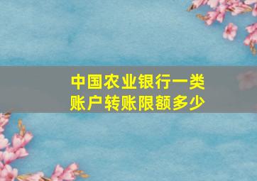 中国农业银行一类账户转账限额多少