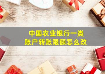 中国农业银行一类账户转账限额怎么改