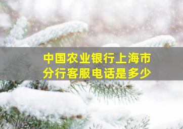 中国农业银行上海市分行客服电话是多少