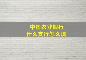 中国农业银行什么支行怎么填