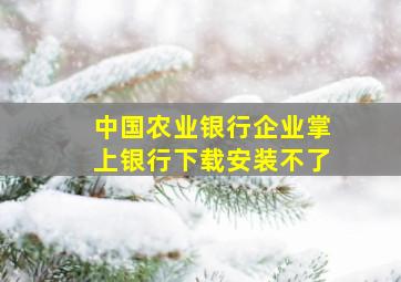 中国农业银行企业掌上银行下载安装不了