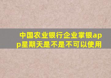 中国农业银行企业掌银app星期天是不是不可以使用