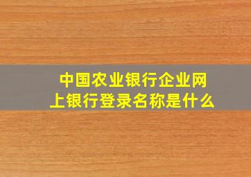 中国农业银行企业网上银行登录名称是什么