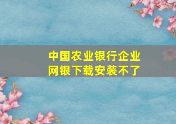 中国农业银行企业网银下载安装不了