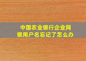 中国农业银行企业网银用户名忘记了怎么办