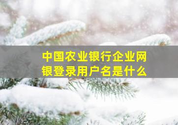 中国农业银行企业网银登录用户名是什么